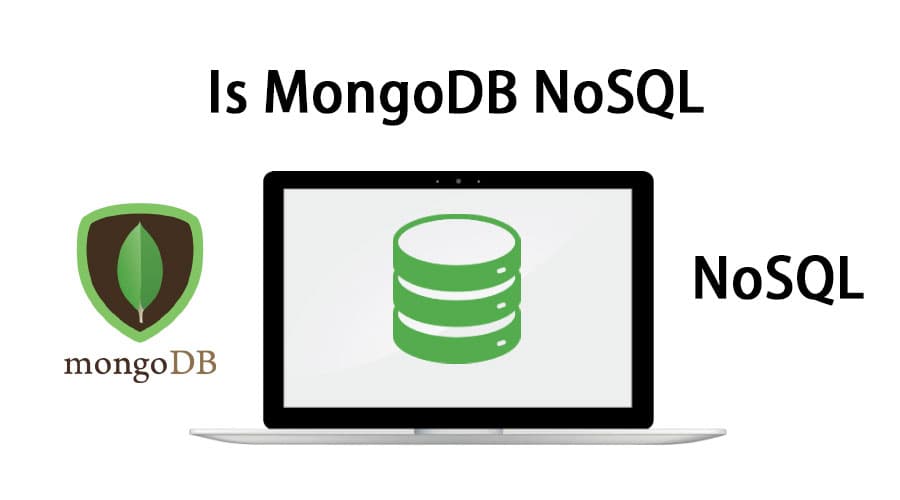 Understanding MongoDB and the NoSQL Concept